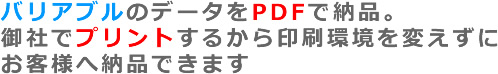 �o���A�u���f�[�^�̔[�i